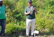 Perayaan Satu Abat Nubuatan Pdt. Isach Samuel Kijne dan HUT GKI KE 69 di Tanah Papua Jemaat GKI Alfa Omega Melakukan Penanaman Pohon di Spanjang Jalan Holtekamp