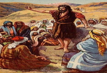 Yohanes 15:1–8 — “Hidup yang Berbuah di Dalam Kristus” Gambar Ilustrasi Yohanes